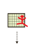 animation
